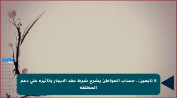 6 تابعين.. حساب المواطن يشرح شرط عقد الإيجار وتأثيره على دعم المطلقة